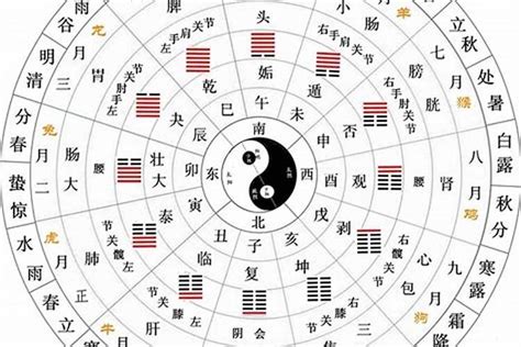 天干地支合|详解天干和地支双合的运用